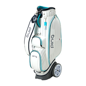 NB BSTN ゴルフバッグ 06 ピンク・ホワイト 楽天市場】ヨネックス (YONEX) CB-3851 8.5型(1.6kg) ホワイト/ピンク