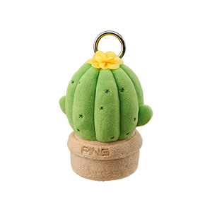 ���������ܡ���ۥ������AC-F2401��