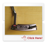 ピン(PING) Redwood(レッドウッド) D66パター