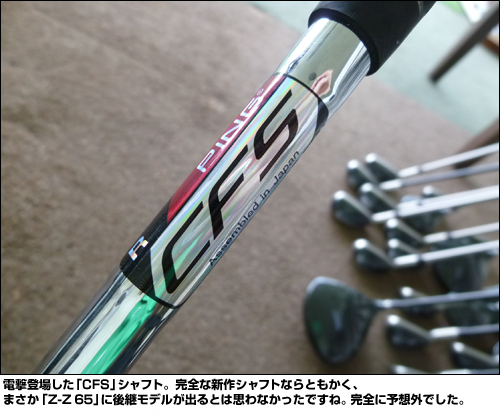 �ŷ��о줷����CFS�ץ���եȡ������ʿ����եȤʤ�Ȥ⤫�����ޤ�����Z-Z 65�פ˸�ѥ�ǥ뤬�Ф�Ȥϻפ�ʤ��ä��Ǥ��͡�������ͽ�۳��Ǥ�����